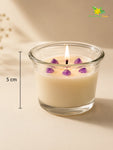 Lavender, Rose, Vanilla - Glass Candle  | 5 cm | Set of 3, 6 Pcs