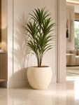 Oval Planter | Off White | 31 cm