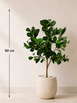 Artificial Ficus Plant  | 90 cm  | With Basic Pot