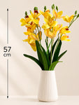 Artificial Cymbidium Orchid Flower Bunch | Yellow | 57 cm