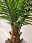 Artificial Areca Palm Plant | 170 cm | With Basic Black Pot