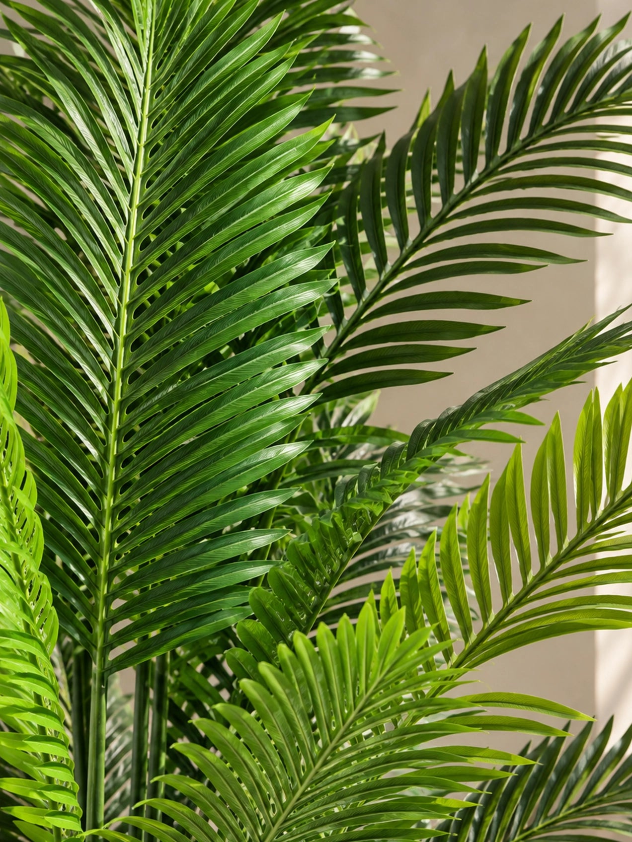 Artificial Areca Palm Plant | 210 cm | 21 Leaves | With Basic Pot
