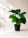 Artificial Philodendron Plant | Green Leaves | 50 cm | 12 Leaves | With Basic Pot