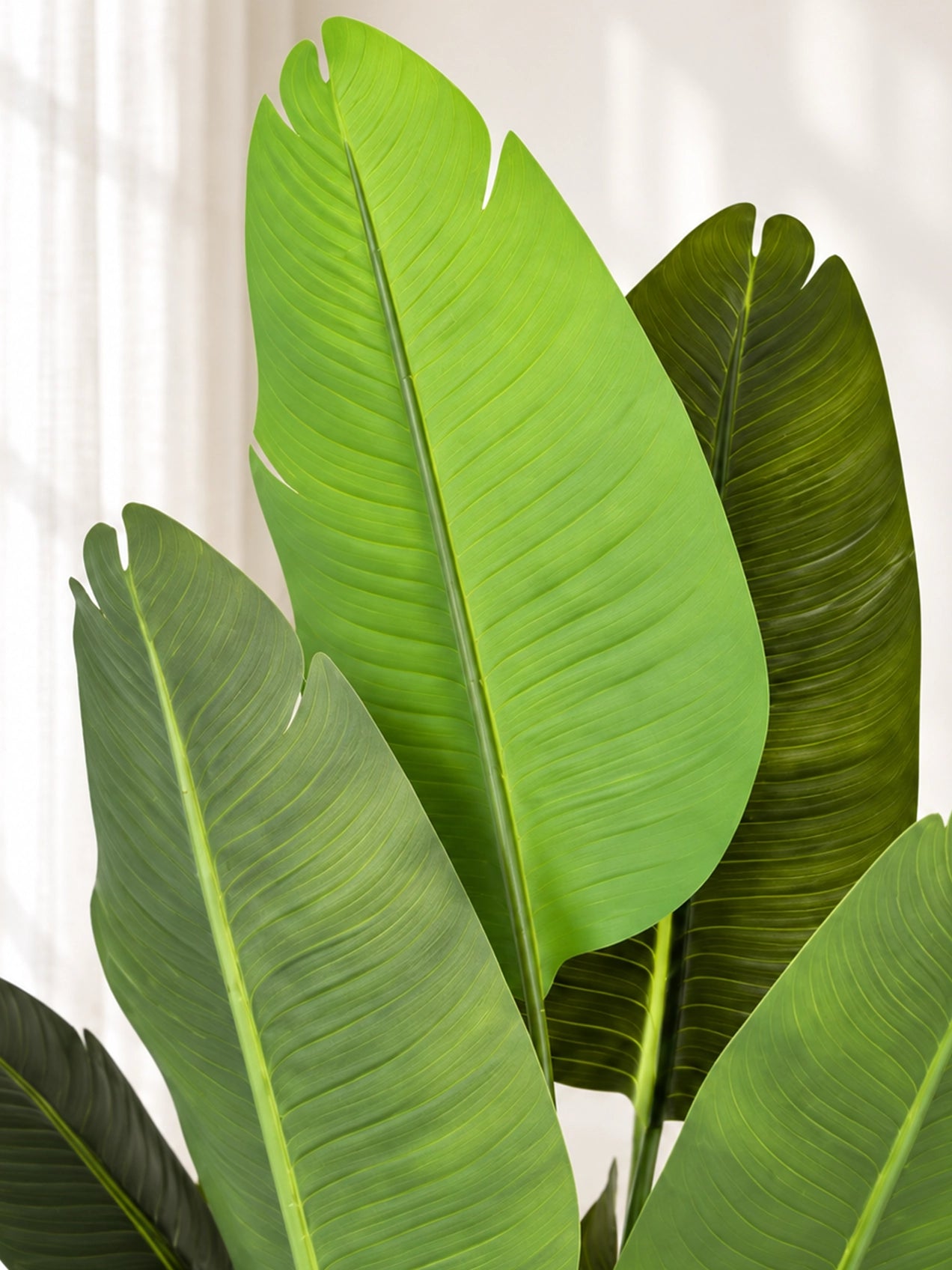 Artificial Banana Leaf Plant | 178 cm | With Basic Black Pot