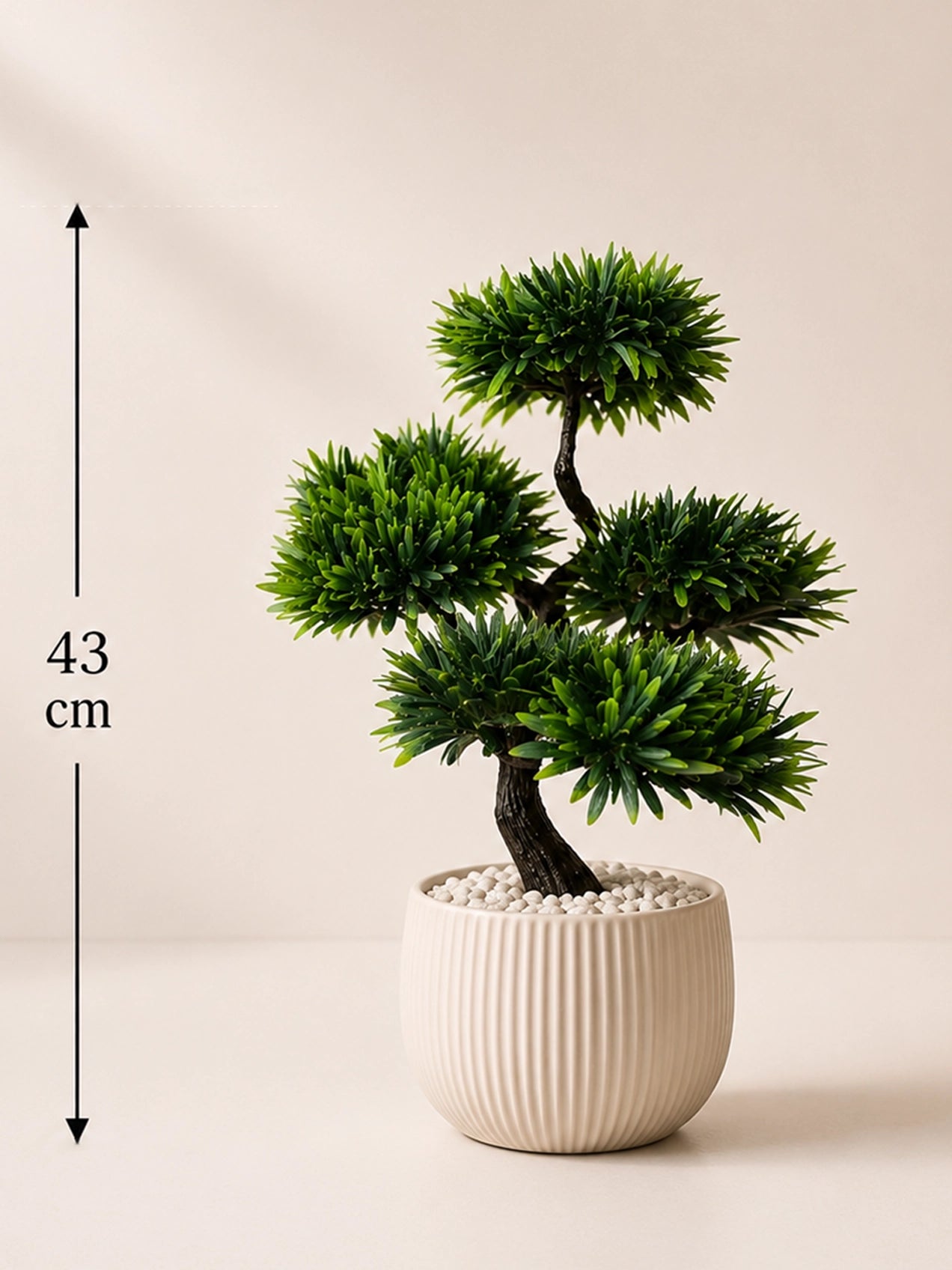 Bonsai Plant | 43 cm | With Black Pot