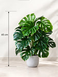 Artificial Monstera Plant | Light Green Leaves | 65 cm | 18 Leaves | With Basic Black Pot