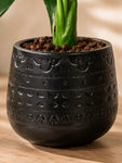 Artificial Tabletop Plant | Green | 25 cm | Ceramic Pot