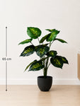Artificial Philodendron Plant | Green & Yellow Leaves | 65 cm | 18 Leaves | With Basic Pot