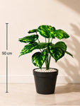 Artificial Philodendron Plant | Patterned Green Leaves | 50 cm | 12 Leaves | With Basic Pot