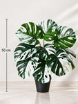 Artificial Monstera Plant | Green-Grey Leaves | 50 cm | 12 Leaves | With Basic Black Pot