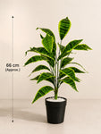 Artificial Snake Plant | 66 cm | 26 Leaves | With Basic Pot