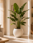 Round Planter | Off White | 33 cm