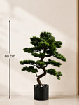 Premium Artificial Bonsai Plant | 88 cm | With Basic Pot