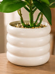 Artificial Tabletop Plant | Green | 22 cm