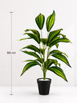 Artificial Cast-Iron Plant | 74 cm | 26 Leaves | With Basic Pot