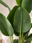 Artificial Banana Leaf Plant | 220 cm | With Basic Pot
