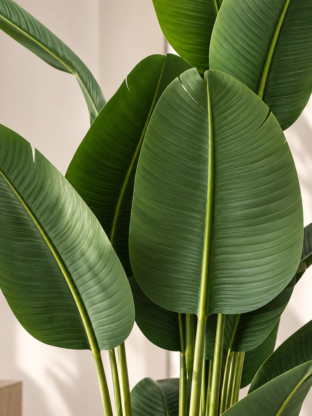 Artificial Banana Leaf Plant | 220 cm | With Basic Pot