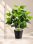 Artificial Golden Pothos Plant | 45 cm | With Basic Pot