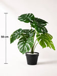 Artificial Monstera Plant | 50 cm | 12 Leaves | With Basic Pot