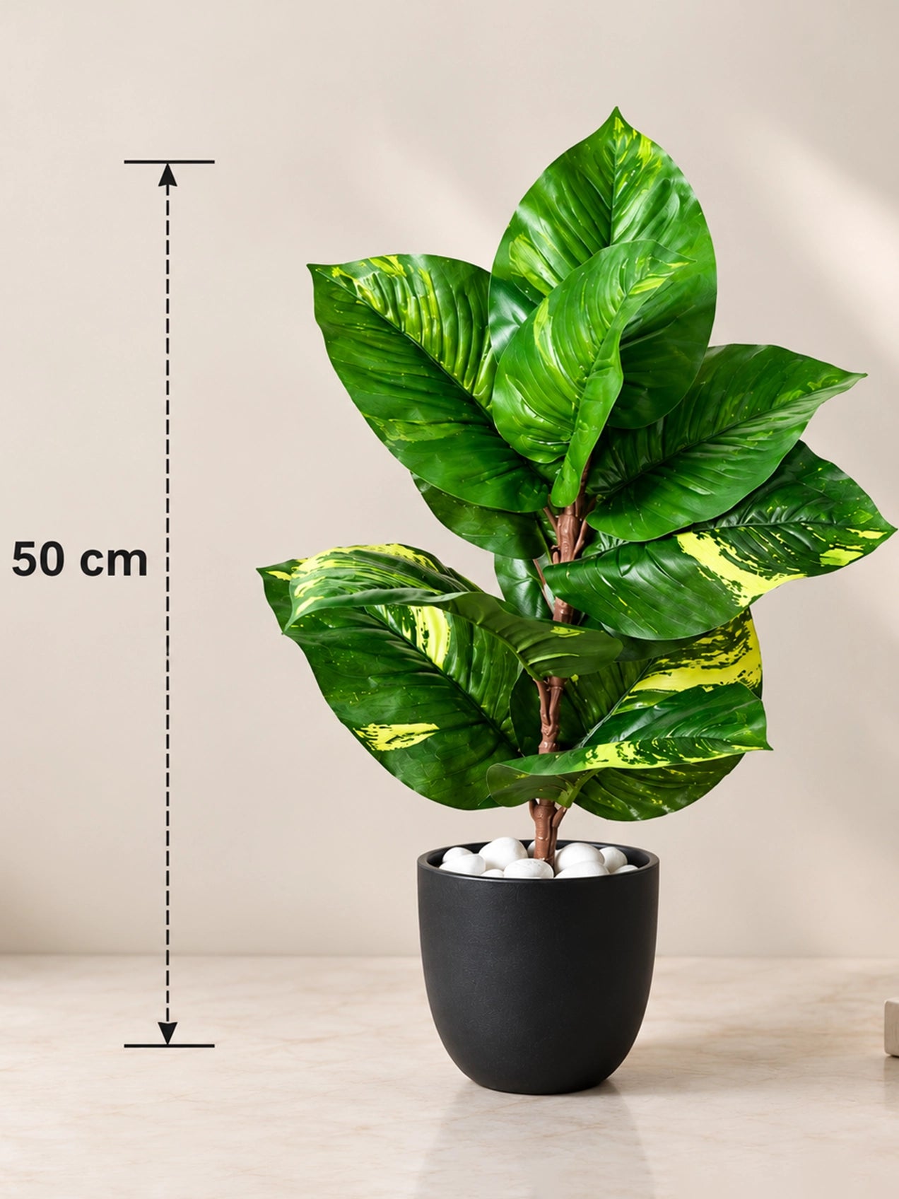 Artificial Dieffenbachia Honeydew Plant | 50 cm | 11 Leaves | With Basic Black Pot