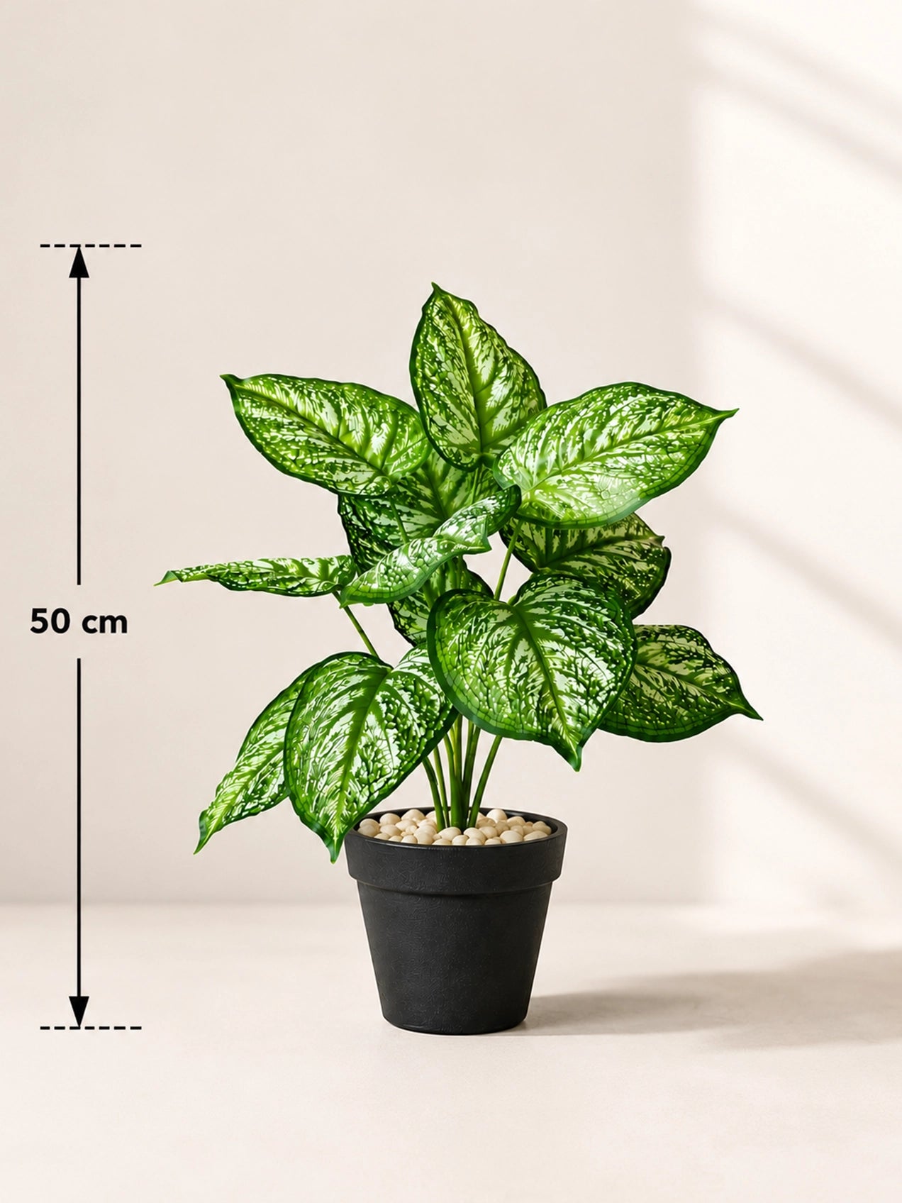 Artificial Calathea Orbifolia Plant | 50 cm | 12 Leaves | With Basic Pot