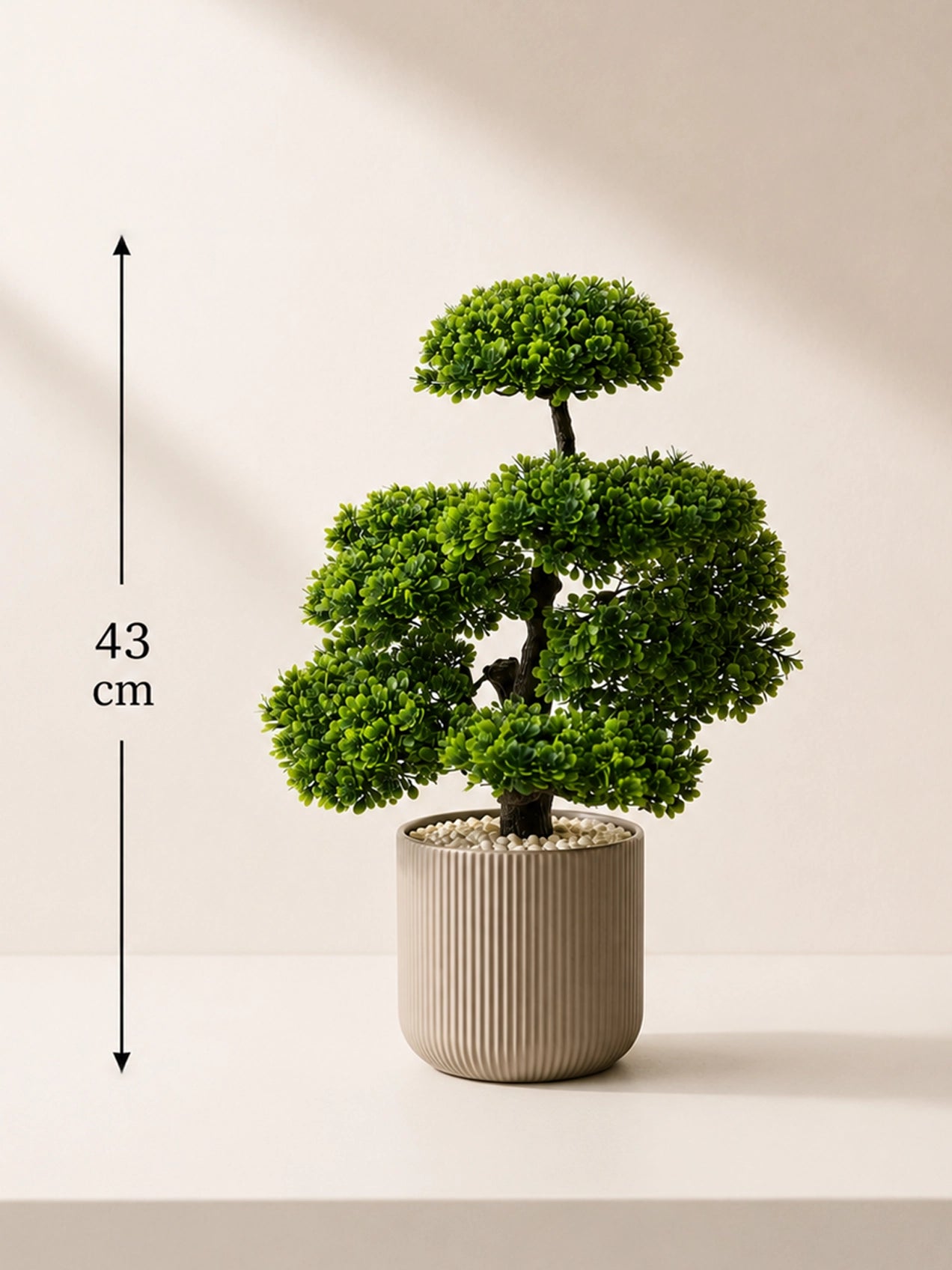 Bonsai Plant | 43 cm | Small Leaves | With Black Pot