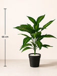 Artificial Green Iceton Croton Plant | 66 cm | 26 Leaves | With Basic Pot