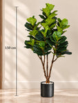 Artificial Fiddle Leaf Plant | 150 cm | 135 Leaves