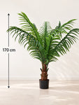 Artificial Areca Palm Plant | 170 cm | With Basic Black Pot