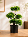 Bonsai Plant | 43 cm | With Black Pot