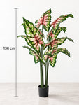 Tropical Beauty Artificial Caladium Plant | 138 cm | 10 Leaves