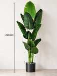 Artificial Banana Leaf Plant | 220 cm | With Basic Pot
