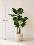 Artificial Monstera Plant | 120 cm | 3 Poles | 12 Leaves