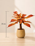 Artificial Tabletop Plant | Autumn | 25 cm | Ceramic Pot