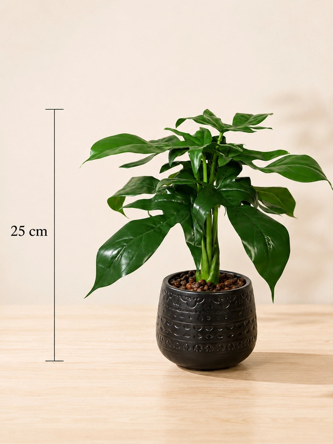 Artificial Tabletop Plant | Green | 25 cm | Ceramic Pot