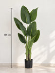 Artificial Banana Plant | 155 cm | With Basic Black Pot
