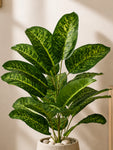 Artificial Tropical Snow Plant for Decor | 21 Leaves | 70 cm | With Basic Pot