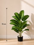 Artificial Tropical Snow Plant for Decor | 21 Leaves | 70 cm | With Basic Pot