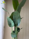 Artificial Banana Leaf Plant – 220 cm, with Basic Pot