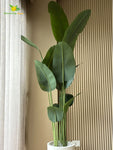 Artificial Banana Leaf Plant – 220 cm, with Basic Pot