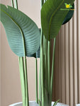 Artificial Banana Leaf Plant – 220 cm, with Basic Pot