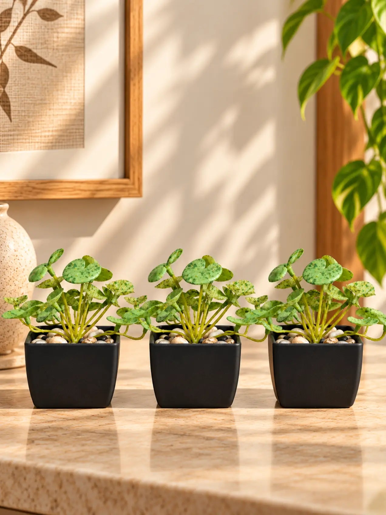 Lush Leaf Pennywort Artificial Succulent, Mixed Green Patterned, 14 cm, Set of 3, with Basic Black Pot