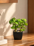 Artificial Mini Monstera Succulent, Light Green, 18 cm, with Basic Black Pot