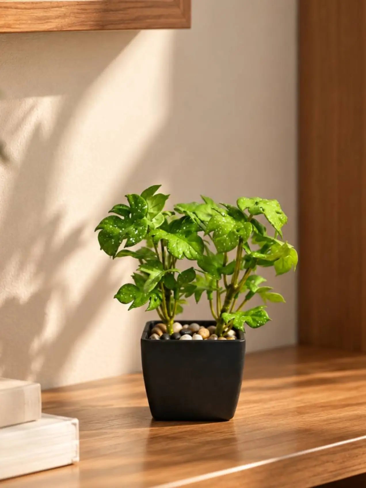Artificial Mini Monstera Succulent, Light Green, 18 cm, with Basic Black Pot
