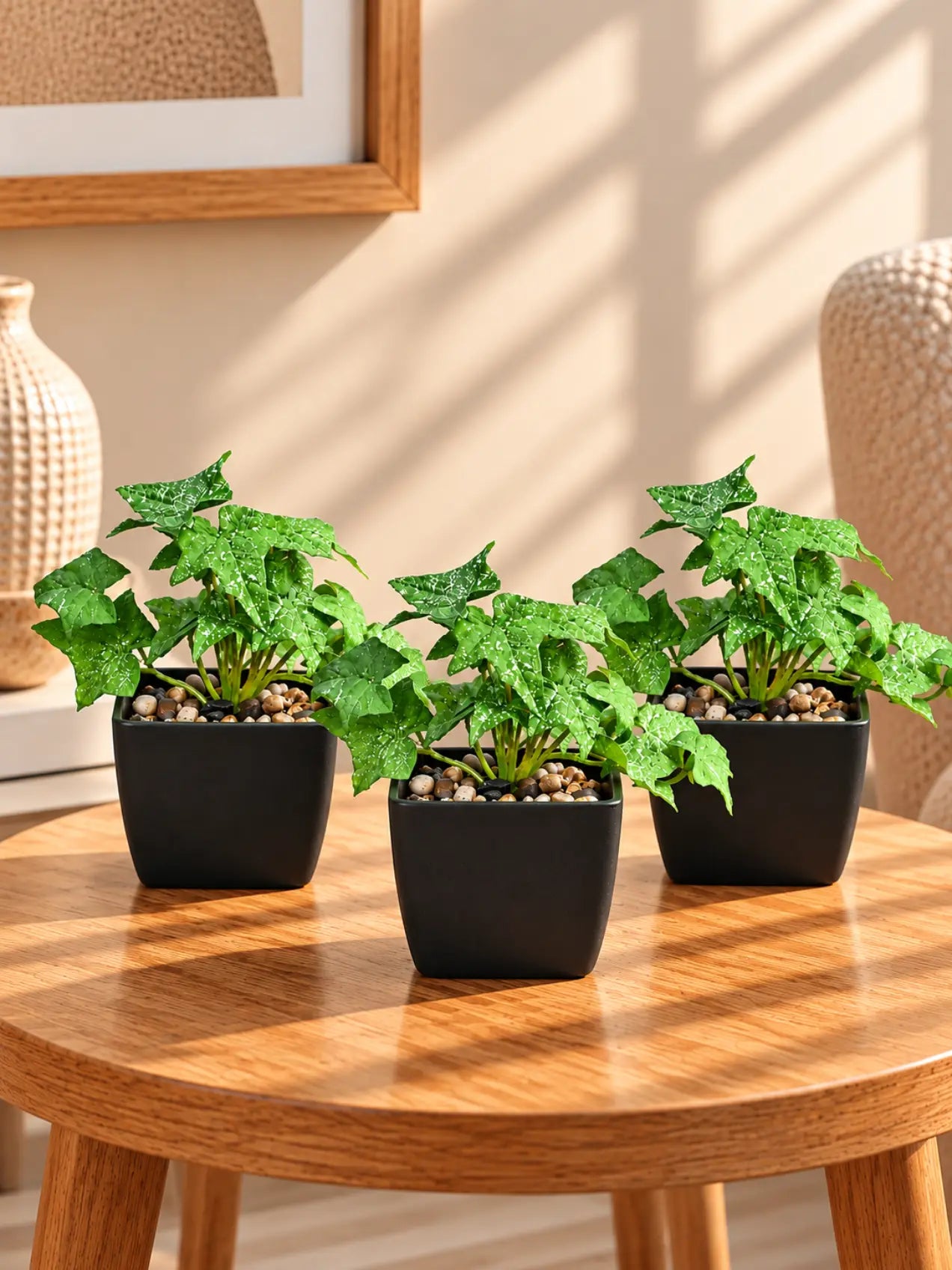 Artificial Ivy Succulent, Green & White Patterned Leaves, 14 cm, Set of 3, with Basic Black Pot