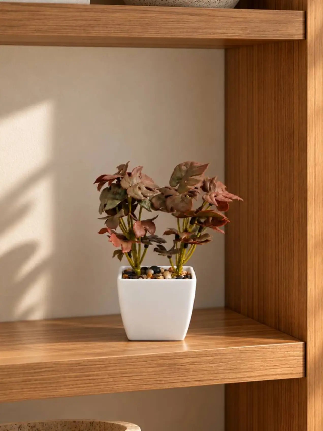 Artificial Mini Monstera Succulent, Maroon, 18 cm, with Basic Black Pot
