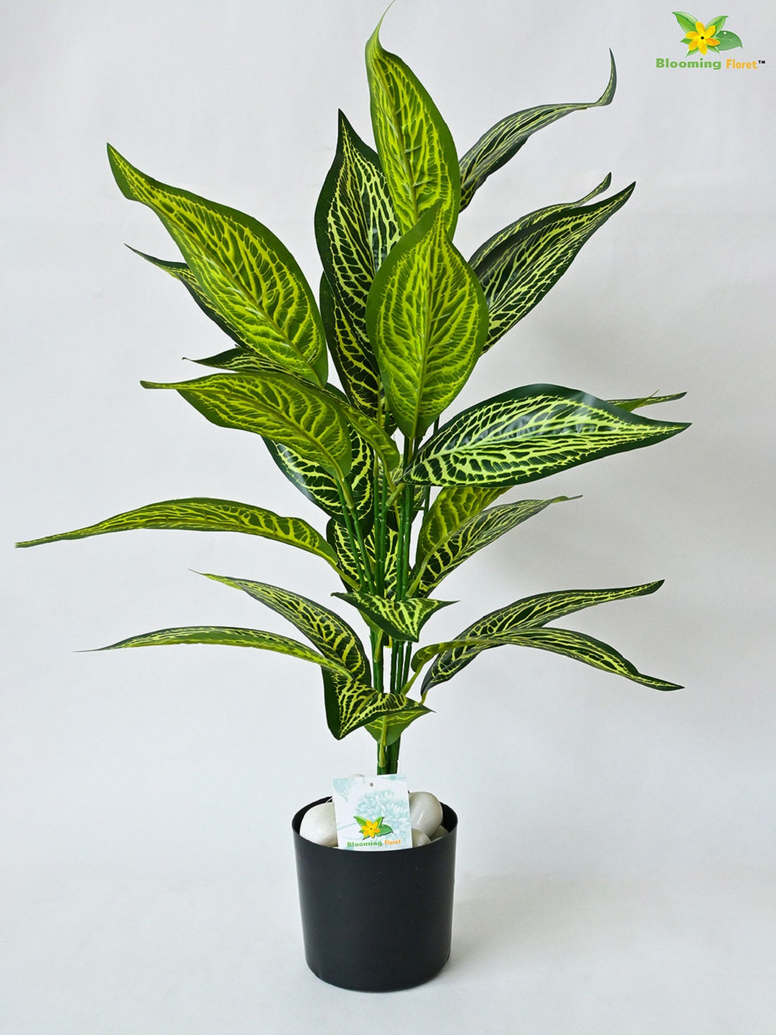 Artificial  Ivory White Croton Plant having 26 Leaves with Pot | 71.1 cm Tall Plant