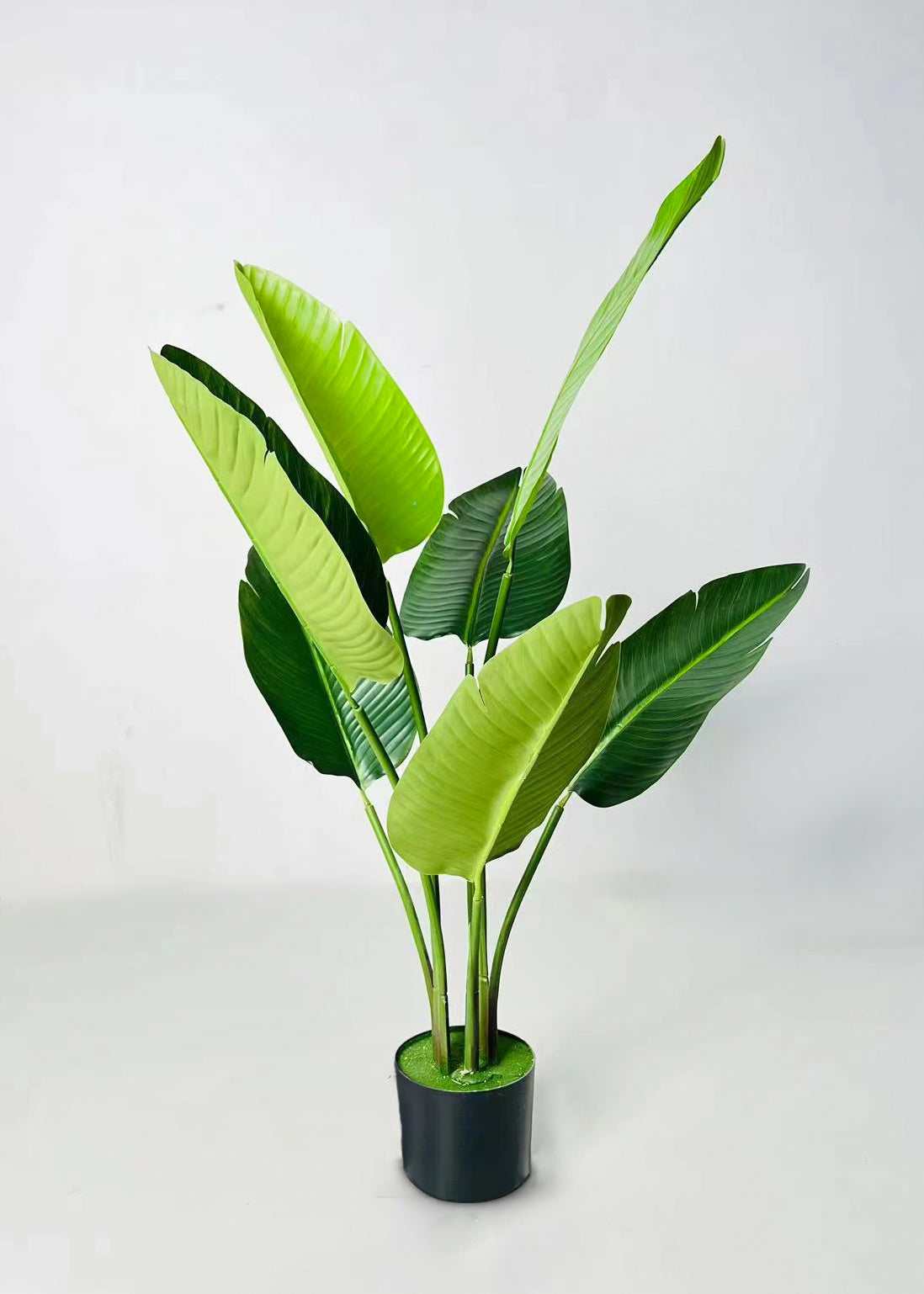 Artificial Banana Plant for Decor 3 Stem 7 Leaves with Basic Pot | 108 cm