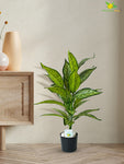 Artificial Ivory White Croton Plant – 71.1 cm, 26 Leaves, with Pot