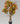 Artificial Croton Tree for Decor with Basic Pot | 110 cm